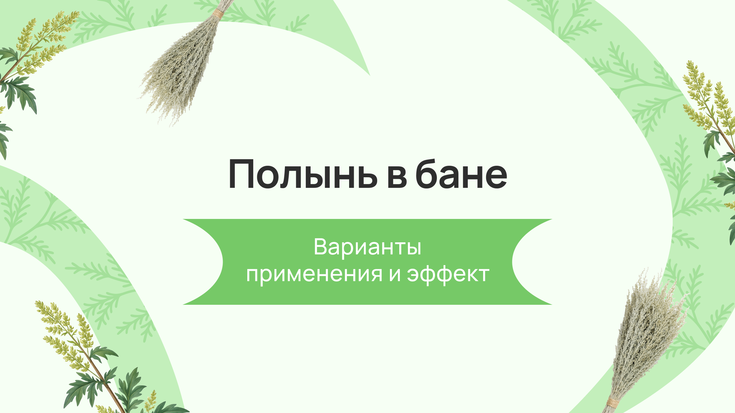 Полынь в бане: варианты применения и эффект