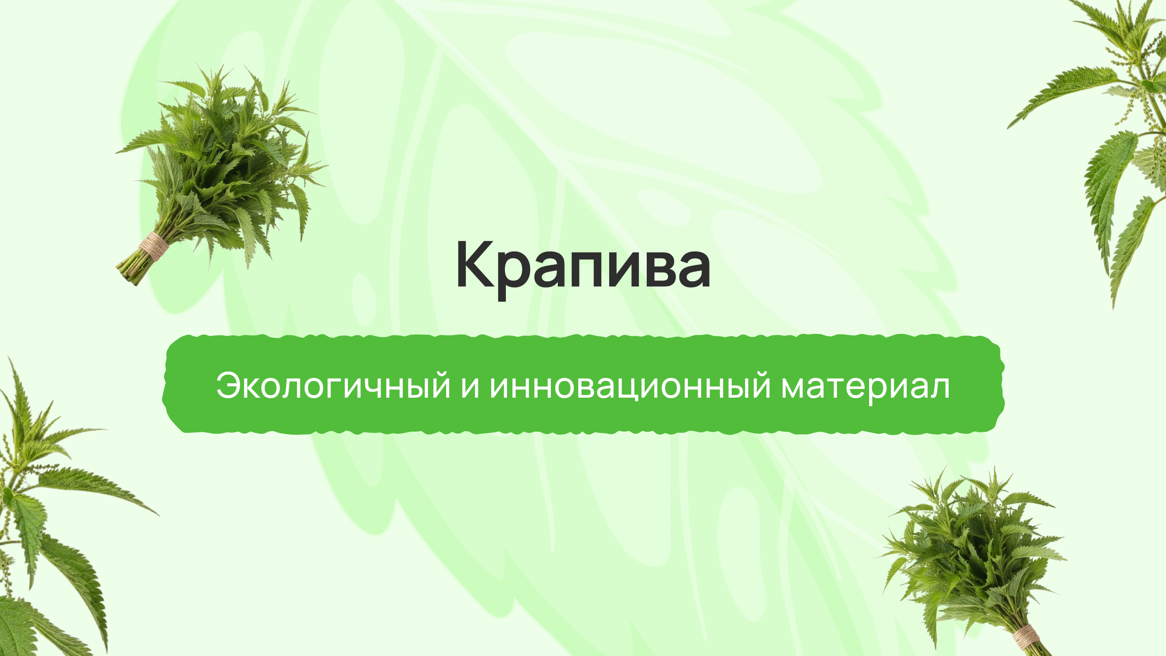 Крапива: экологичный и инновационный материал