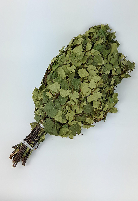 Веник березовый