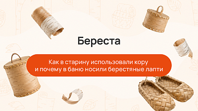 Береста: как в старину использовали кору и почему в баню носили берестяные лапти