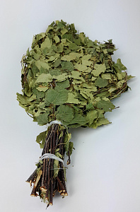 Веник березовый