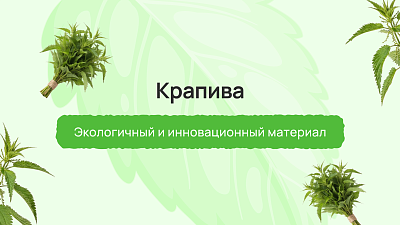 Крапива: экологичный и инновационный материал