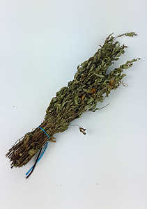 Трава Мяты Ментоловой