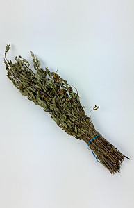 Трава Мяты Ментоловой