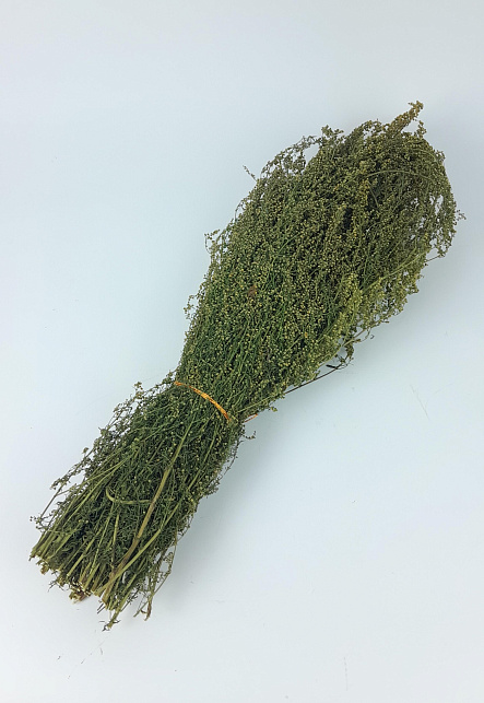 Трава Полыни Лимонной